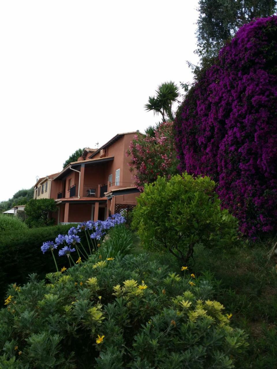 Villa Les Citronniers D'azur *