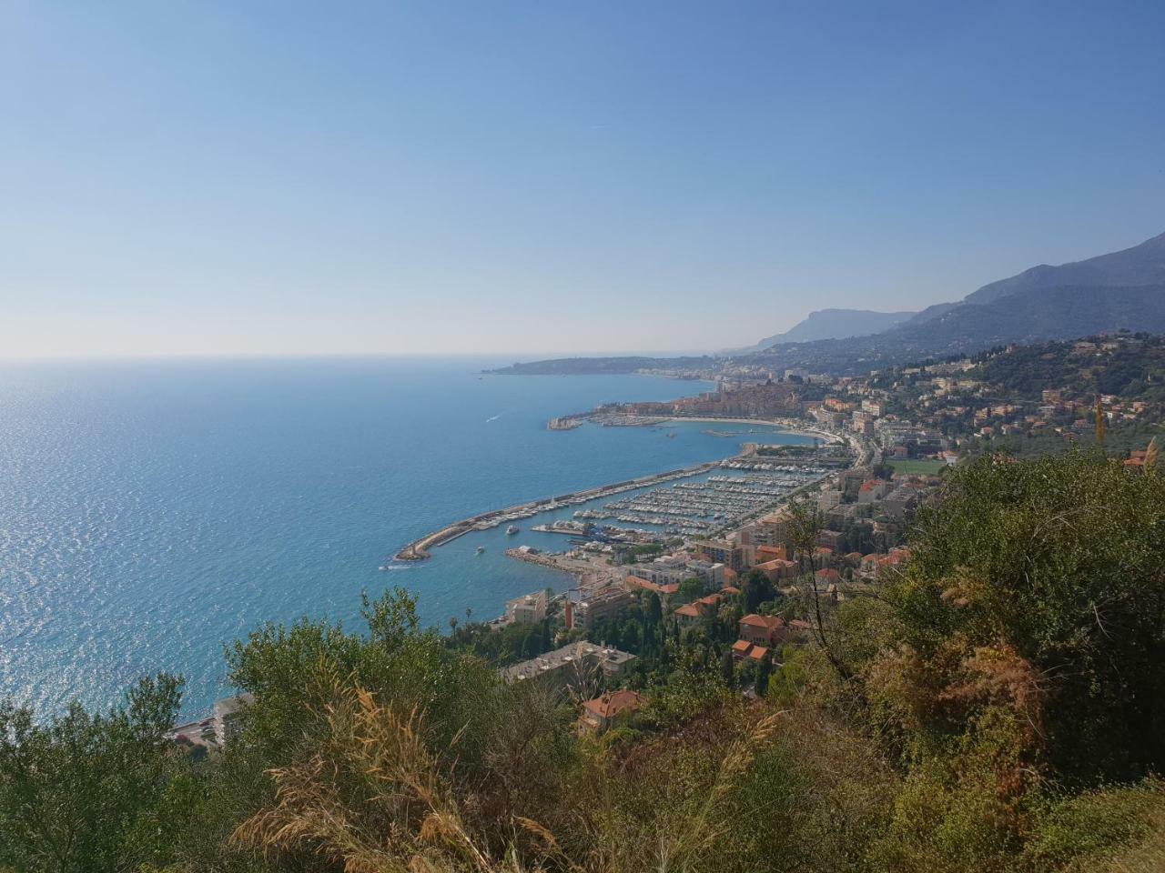 Les Citronniers D'azur
