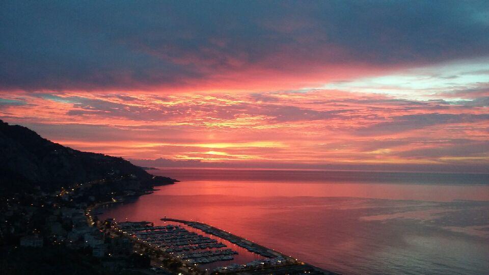 Les Citronniers D'azur