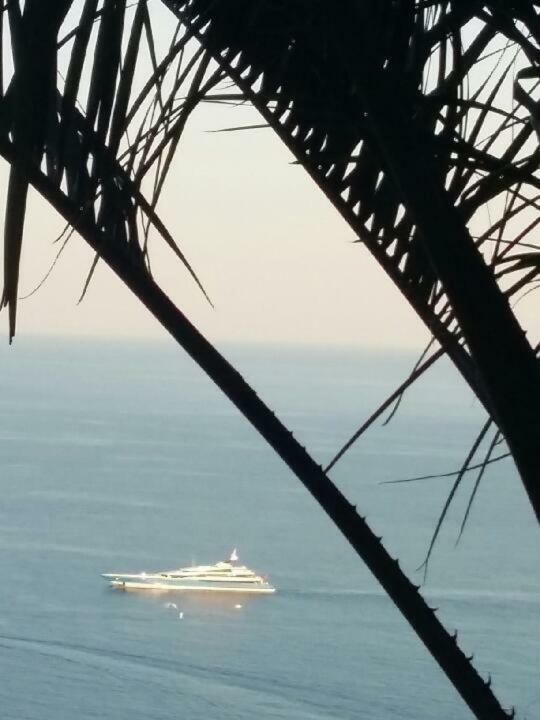 Villa Les Citronniers D'azur